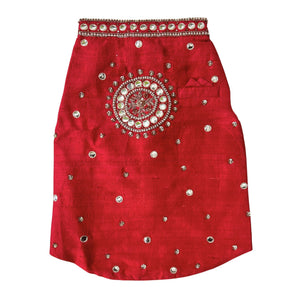 HAND EMBROIDERED MIRROR WORK RED DOG SHERWANI