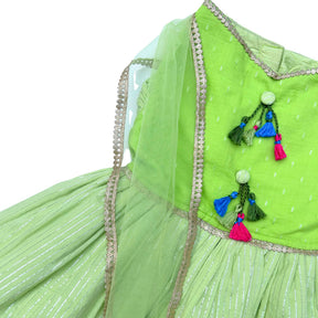 PISTA COTTON ANARKALI FOR DOGS AND CATS