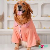 ORANGE STRIPE T-SHIRT FOR DOGS AND CATS