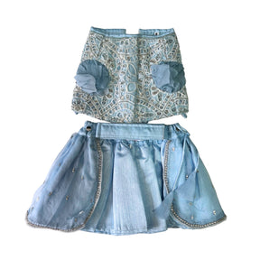 ICE BLUE ALENCON LACE HAND EMBROIDERED LEHENGA FOR DOGS AND CATS