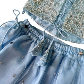 ICE BLUE ALENCON LACE HAND EMBROIDERED LEHENGA FOR DOGS AND CATS