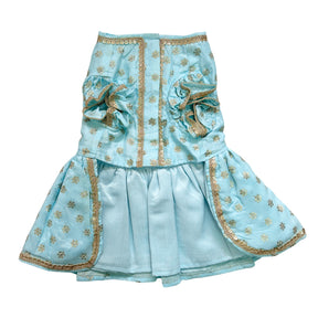 PASTEL BLUE GOLD BUTTI ANARKALI + BLUE BONE RAKHI FOR DOGS AND CATS