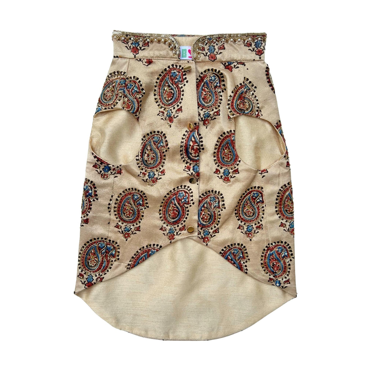 BEIGE PAISLEY BUTI HAND EMBROIDERED SHERWANI FOR DOGS AND CATS