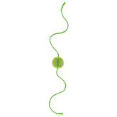 GREEN FETCH BALL RAKHI FOR DOGS AND CATS