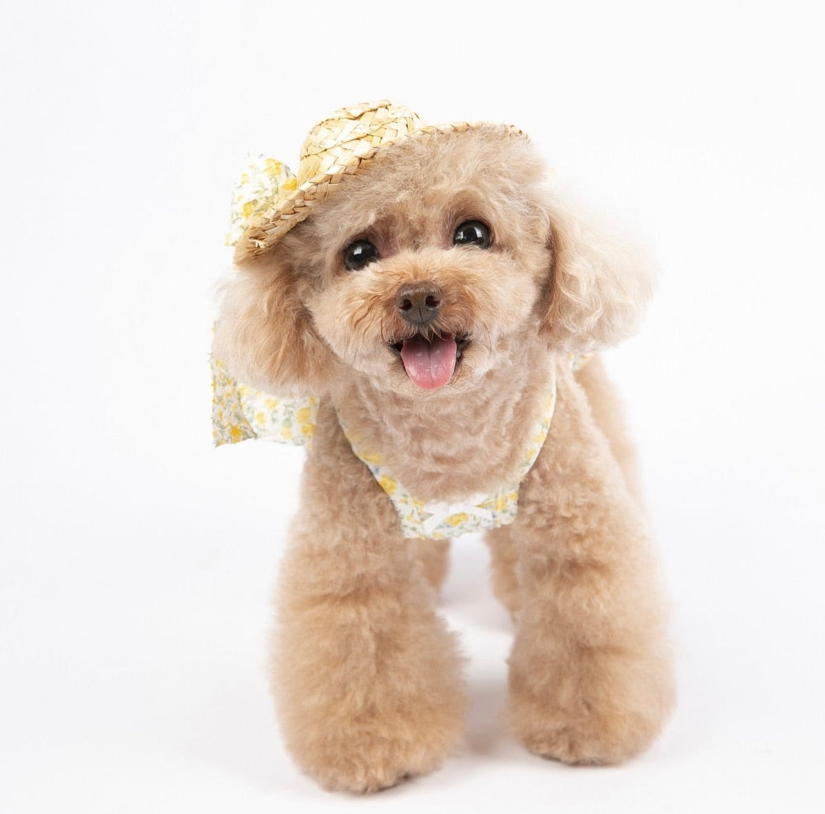 FLORAL DOG DRESS