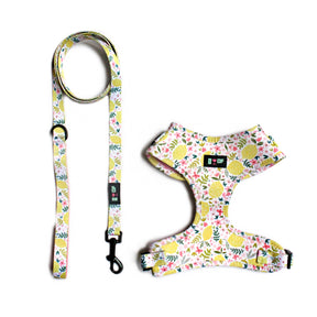 MAIN SQUEEZE! DOG HARNESS AND LEASH