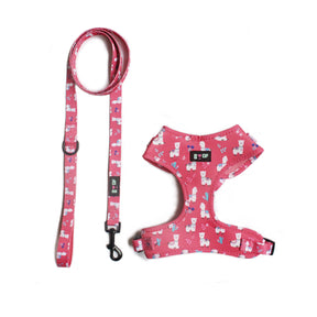 NO PROB LLAMA! DOG HARNESS AND LEASH