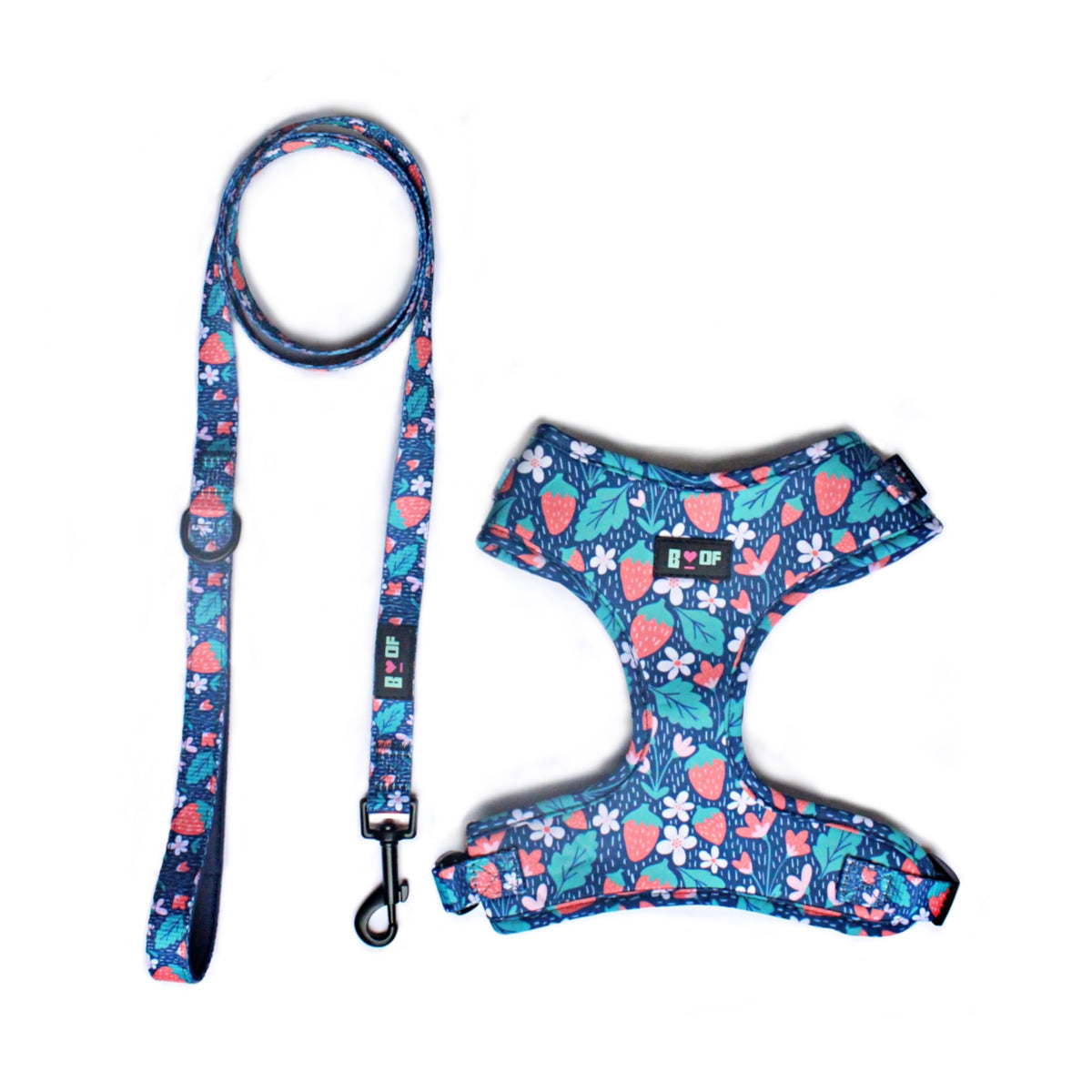 YOU’RE BERRY SPECIAL HARNESS AND LEASH