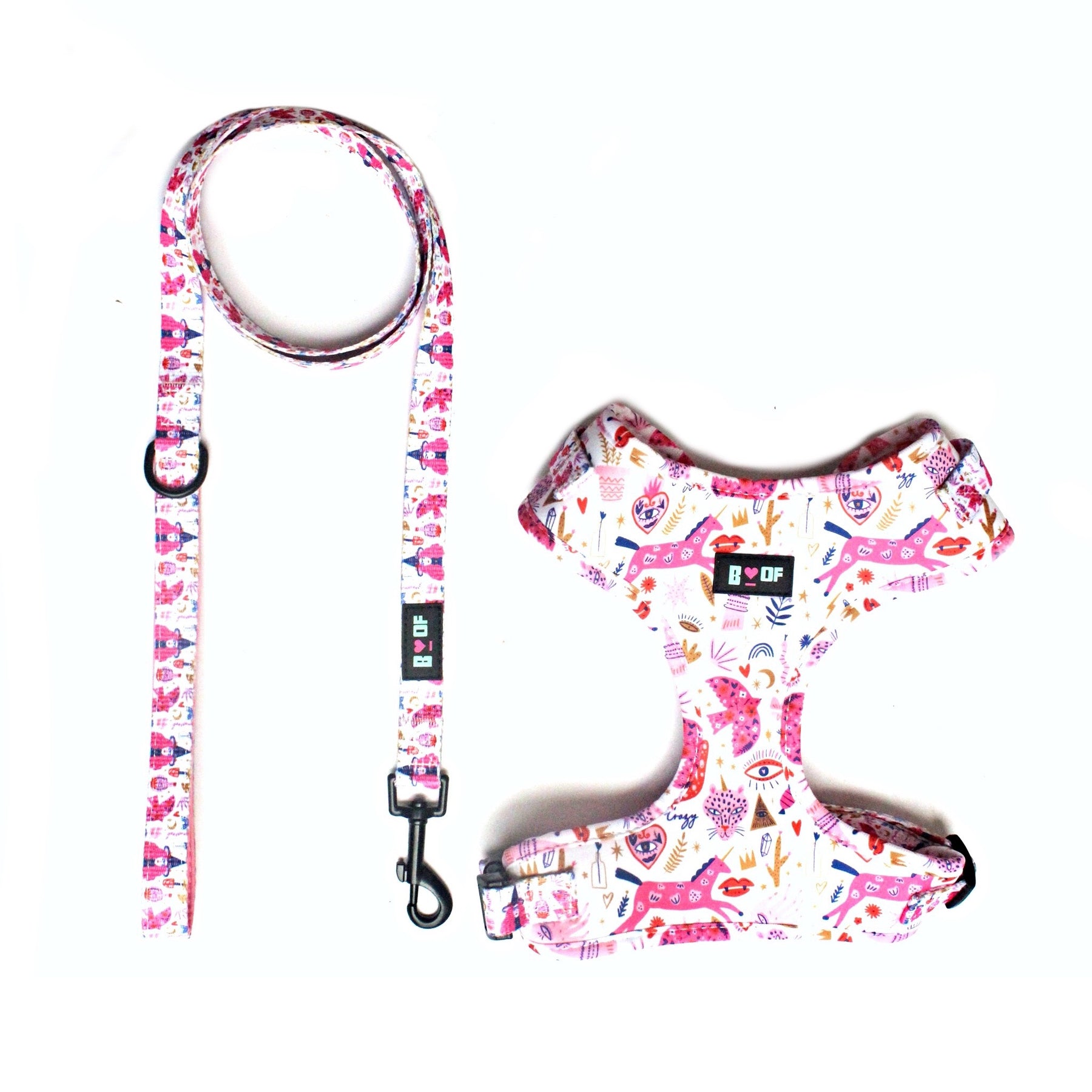 STAY WAGG-ICAL ! HARNESS AND LEASH