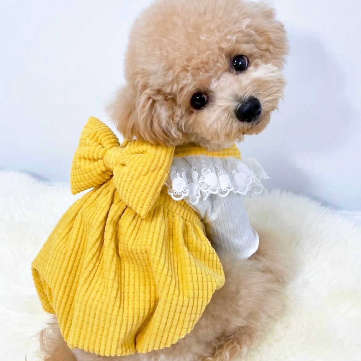 BOW WOW ! DRESS