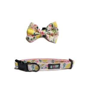 MAIN SQUEEZE ! DOG COLLAR + BOW