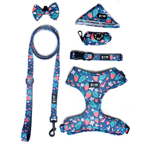YOU’RE BERRY SPECIAL HARNESS SETS