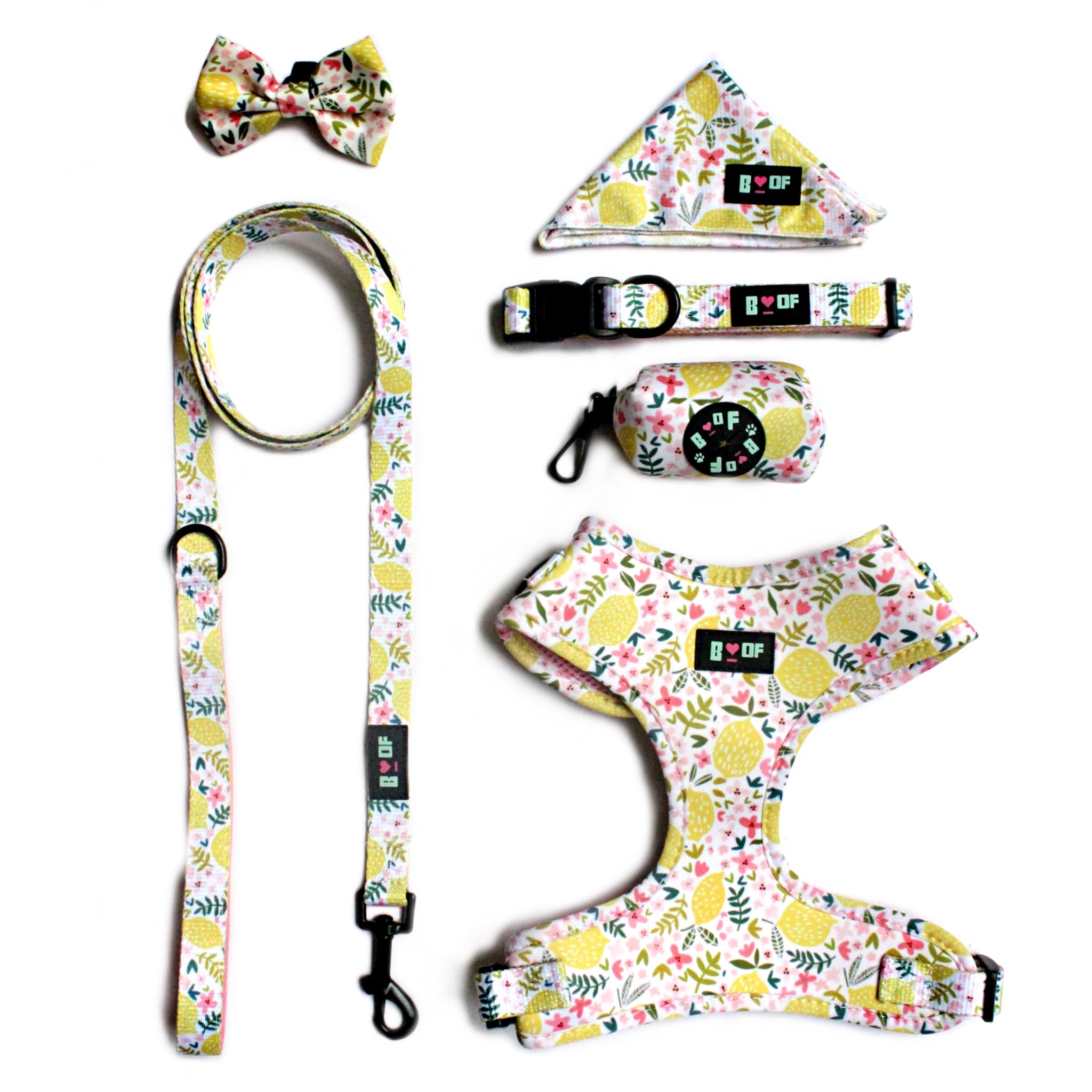 MAIN SQUEEZE! DOG HARNESS BUNDLE