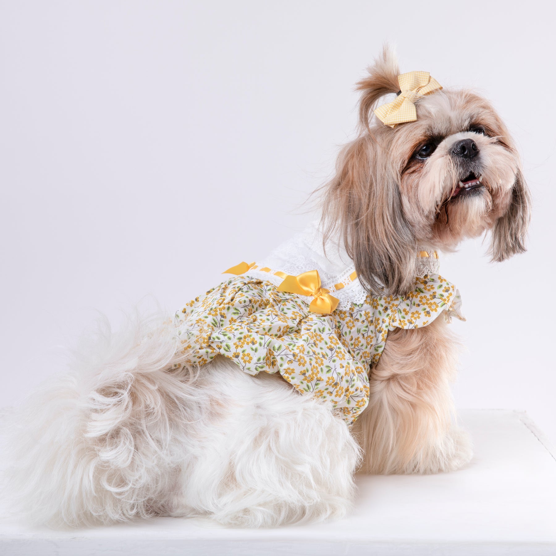 BLOSSOM BUBBLE DOG DRESS!