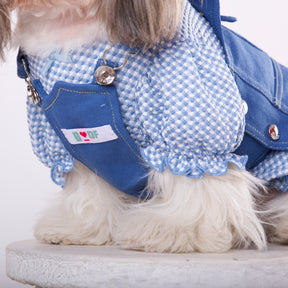 POPSICLES DUNGAREE DOG DRESS