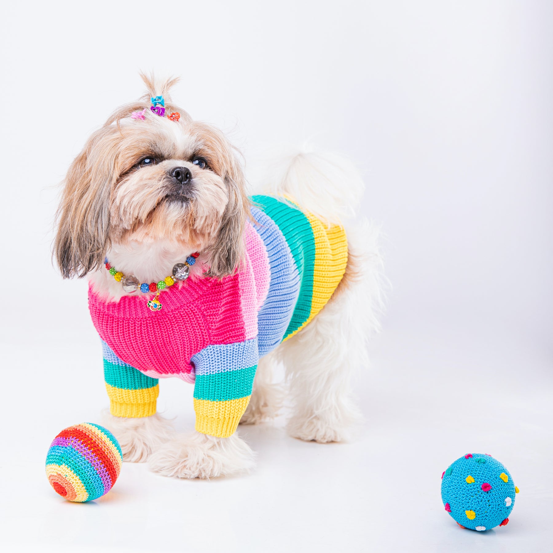 COLOUR BLAST SWEATER